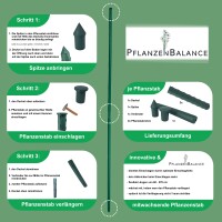 Der "mitwachsende" Pflanzstab, 16mm Durchmesser, Länge 60-270cm. Die innovativen, flexibel und mitwachsenden Pflanzstäbe, Metallrohr kunststoffummantelt – Rankstäbe für Pflanzen, Gurken, Tomaten, Kletterpflanzen und Pflanzenhalter