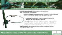 Pflanzenhalter Staudenhalter Blumenstütze – Flexibel, Stabil & Wetterfest – Einfache Montage, Kompakt und Unauffällig, Robuste Stützen für Große Pflanzen