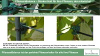 Pflanzenhalter Staudenhalter Blumenstütze – Flexibel, Stabil & Wetterfest – Einfache Montage, Kompakt und Unauffällig, Robuste Stützen für Große Pflanzen